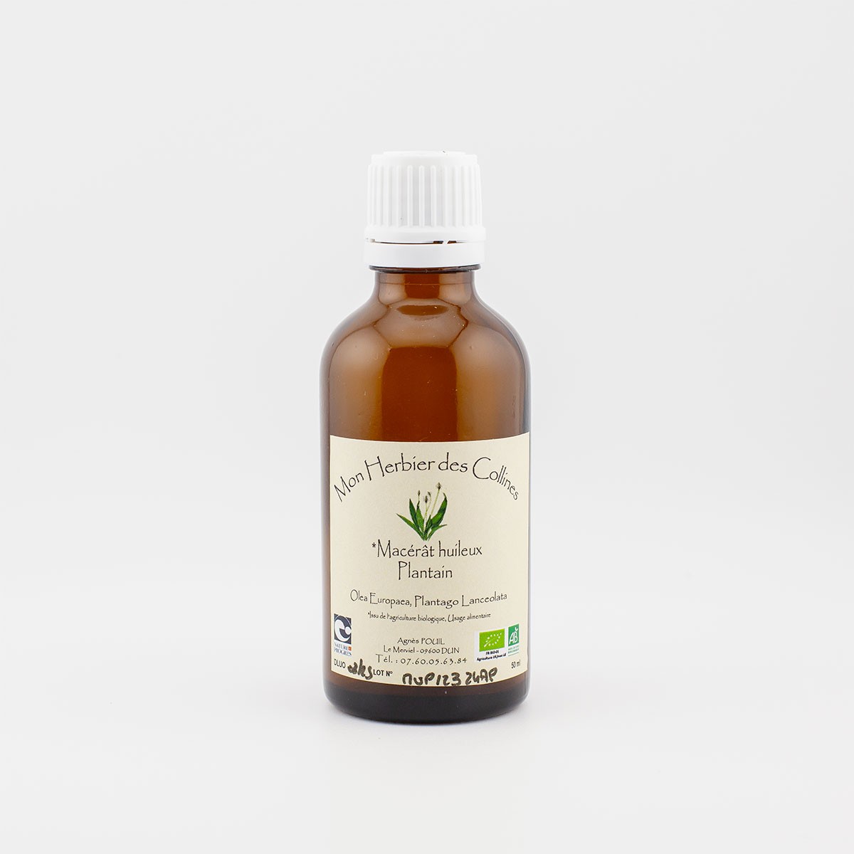 Macérat-Plantain