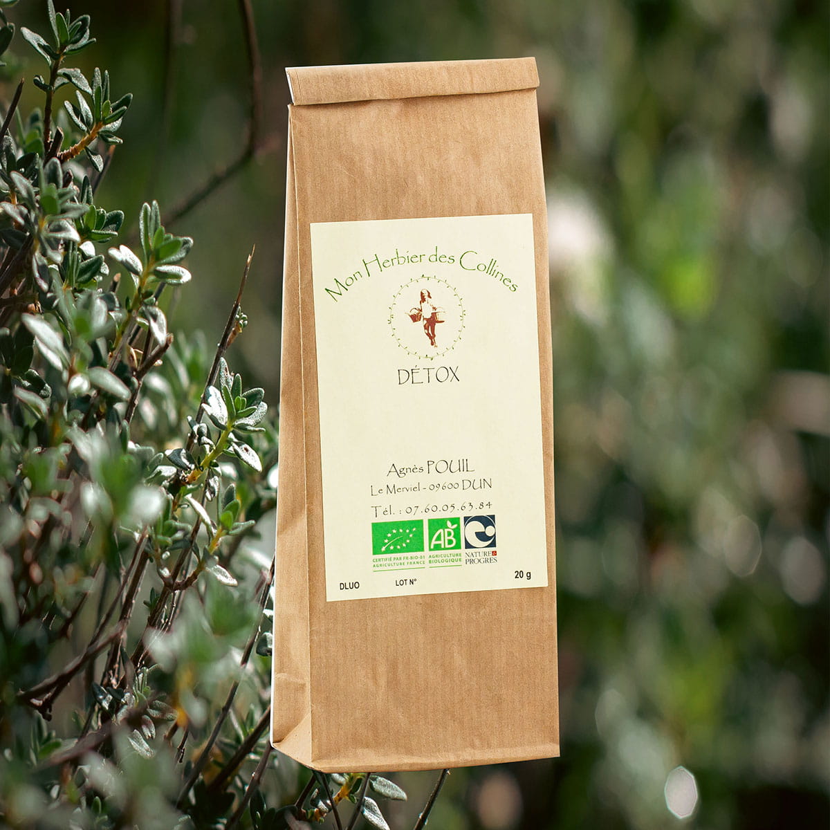 Infusion Detox : plantes-aromatiques-et-medicinales